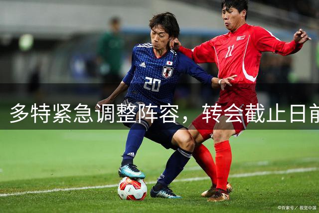 多特紧急调整阵容，转会截止日前行动