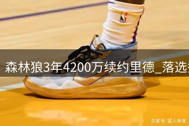 森林狼3年4200万续约里德 落选秀迎爆发赛季
