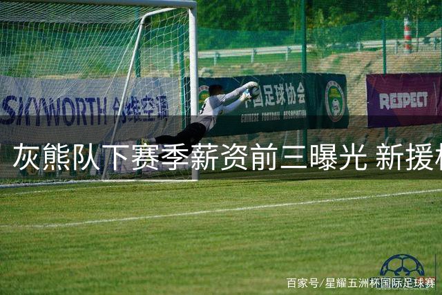 灰熊队下赛季薪资前三曝光 新援格兰特领跑全队