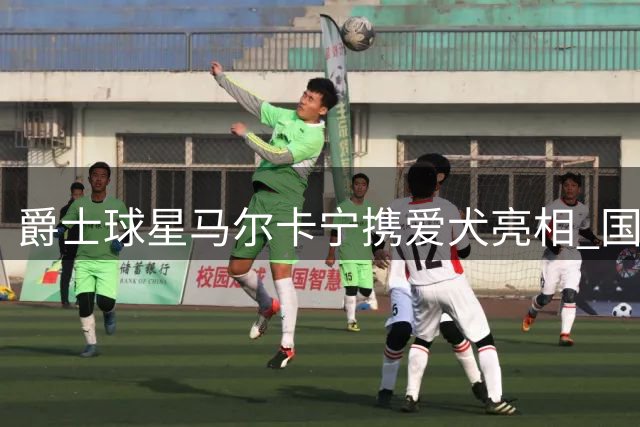 爵士球星马尔卡宁携爱犬亮相 国家队赛事后启程返美